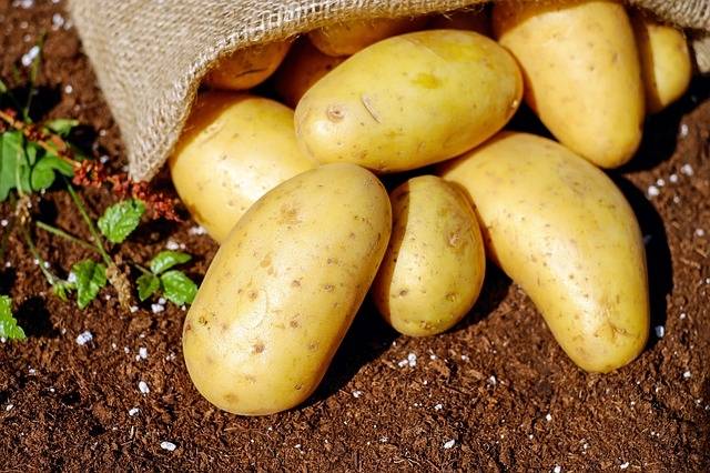 Health benefits of Potato Aaloo